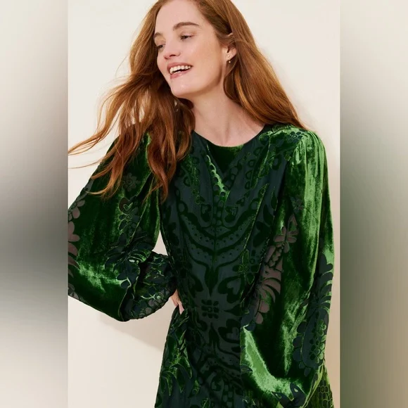 Farm Rio x Anthropologie Long-Sleeve Burnout Velvet Mini Dress, NWOT, size S - Picture 2 of 5